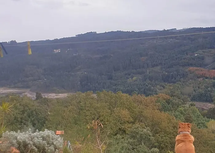 Tapadas Do Sol Couto de Esteves